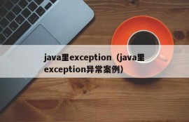 java里exception（java里exception异常案例）
